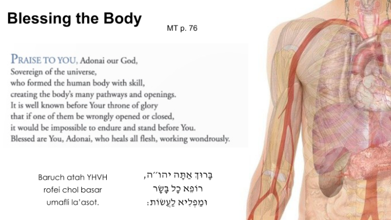 Blessing the Body (MT p. 76): "Praise to you, Adonai our God, / Sovereign of the universe, / who formed the human body with skill, / creating the body's many pathways and openings. / It is well known before Your throne of glory / that if one of them be wrongly opened or closed, / it would be impossible to endure and stand before You. / Blessed are You, Adonai, who heals all flesh, working wondrously. // Baruch atah YHVH / rofei chol basar / umafli la'asot."