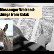 The Messenger We Need - image of Torah with a donkey