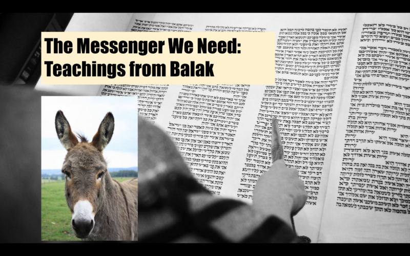 The Messenger We Need - image of Torah with a donkey