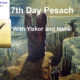 7th Day Pesach with Yizkor and Hallel