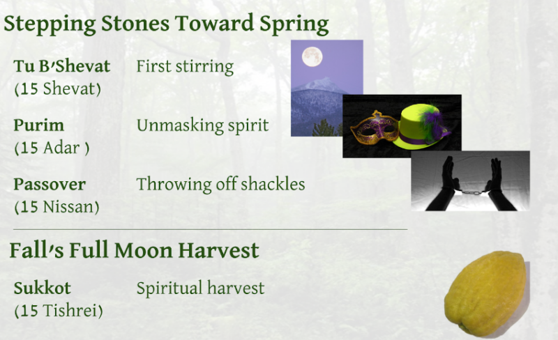 Stepping Stones Toward Spring — Tu B'Shvat (15 Shevat): First stirring; Purim (15 Adar): Unmasking spirit; Passover (15 Nissan): Throwing off shackles. Fall's Full Moon Harvest — Sukkot (15 Tishrei): Spiritual harvest.