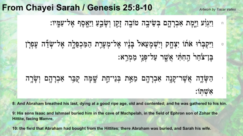 Excerpt from Parashat Chayei Sarah (Genesis 25:8-10): 8: Vayigva vayamat Avraham b’seivah tovah zakein v’savei-a, vayei-asef el amav. 9: Vayikb’ru oto Yitzchak v’Yishmaeil banav el m’arat haMachpeilah, el s’deih Efron ben Tzochar haChiti, asher al p’nei Mamrei, 10: hasadeh asher kanah Avraham mei-eit b’nei Cheit; shamah kubar Avraham v’Sarah ishto. 8: And Abraham breathed his last, dying at a good ripe age, old and contented; and he was gathered to his kin. 9: His sons Isaac and Ishmael buried him in the cave of Machpelah, in the field of Ephron son of Zohar the Hittite, facing Mamre, 10: the field that Abraham had bought from the Hittites; there Abraham was buried, and Sarah his wife.
