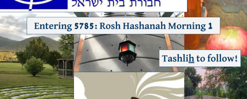 Entering 5785: Rosh Hashanah Morning 1; Tashlich to follow!