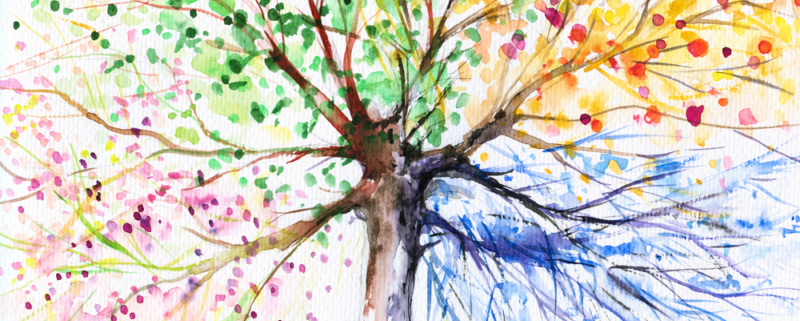 A watercolor painting of a tree; spring blooms, summer greenery, autumn leaves, and frosty winter branches are represented in each quarter of the tree.