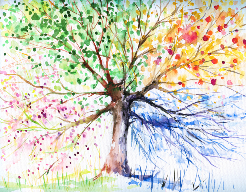 A watercolor painting of a tree; spring blooms, summer greenery, autumn leaves, and frosty winter branches are represented in each quarter of the tree.