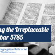 Counting the Irreplaceable: Bamidbar 5785