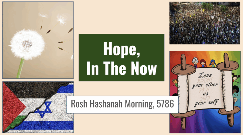 Hope, in the Now: Rosh Hashanah Morning, 5786