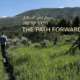 The Path Forward