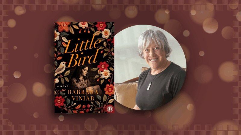 Little Bird: A Novel from Barbara Viniar