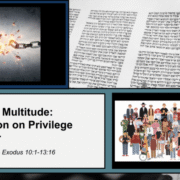 The Mixed Multitude: A Reflection on Privilege and Power from Parashat Bo - Exodus 10:1-13:16