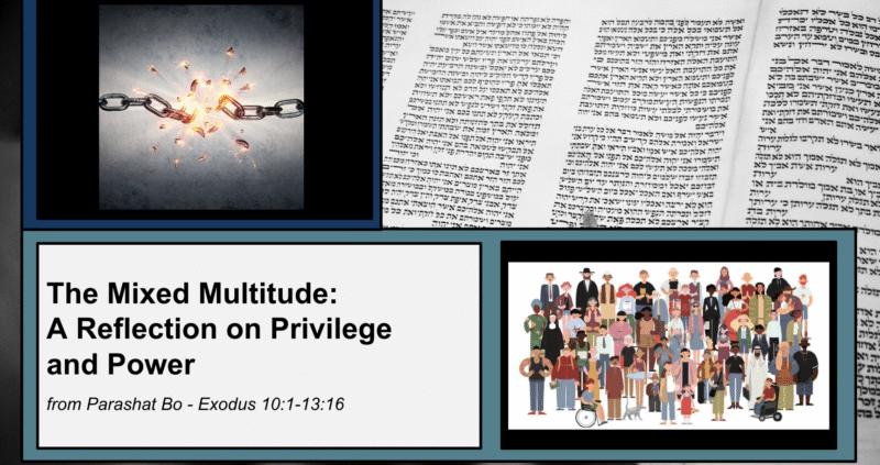 The Mixed Multitude: A Reflection on Privilege and Power from Parashat Bo - Exodus 10:1-13:16
