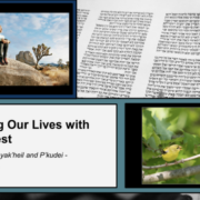 Reclaiming Our Lives with Radical Rest from Parashiyot Vayak'heil and P'kudei (Exodus 35:1-40:38)