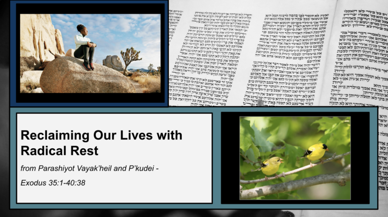 Reclaiming Our Lives with Radical Rest from Parashiyot Vayak'heil and P'kudei (Exodus 35:1-40:38)