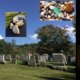 The Yizkor cycle: Passover, Shavuot, Yom Kippur, & Shemini Atzeret.